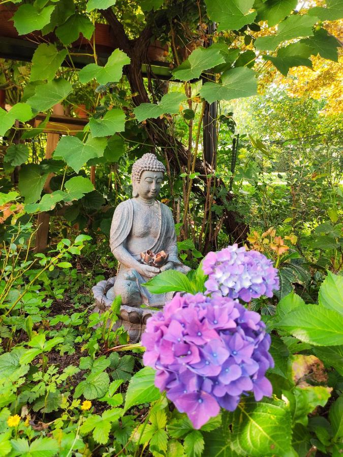 Modernes Zimmer am Park mit Garten, Hühner&Enten München Exterior foto